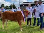 Cattle1