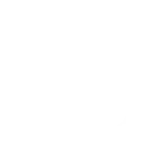 cattle